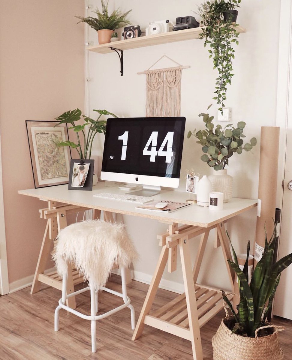 ahouseplanting's tweet photo. https://t.co/soQNuj8VT6