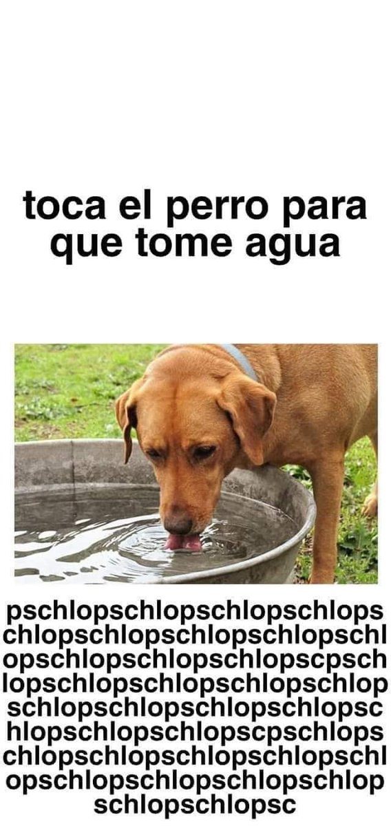 ¡Gracias!
😂😂😂😂😂