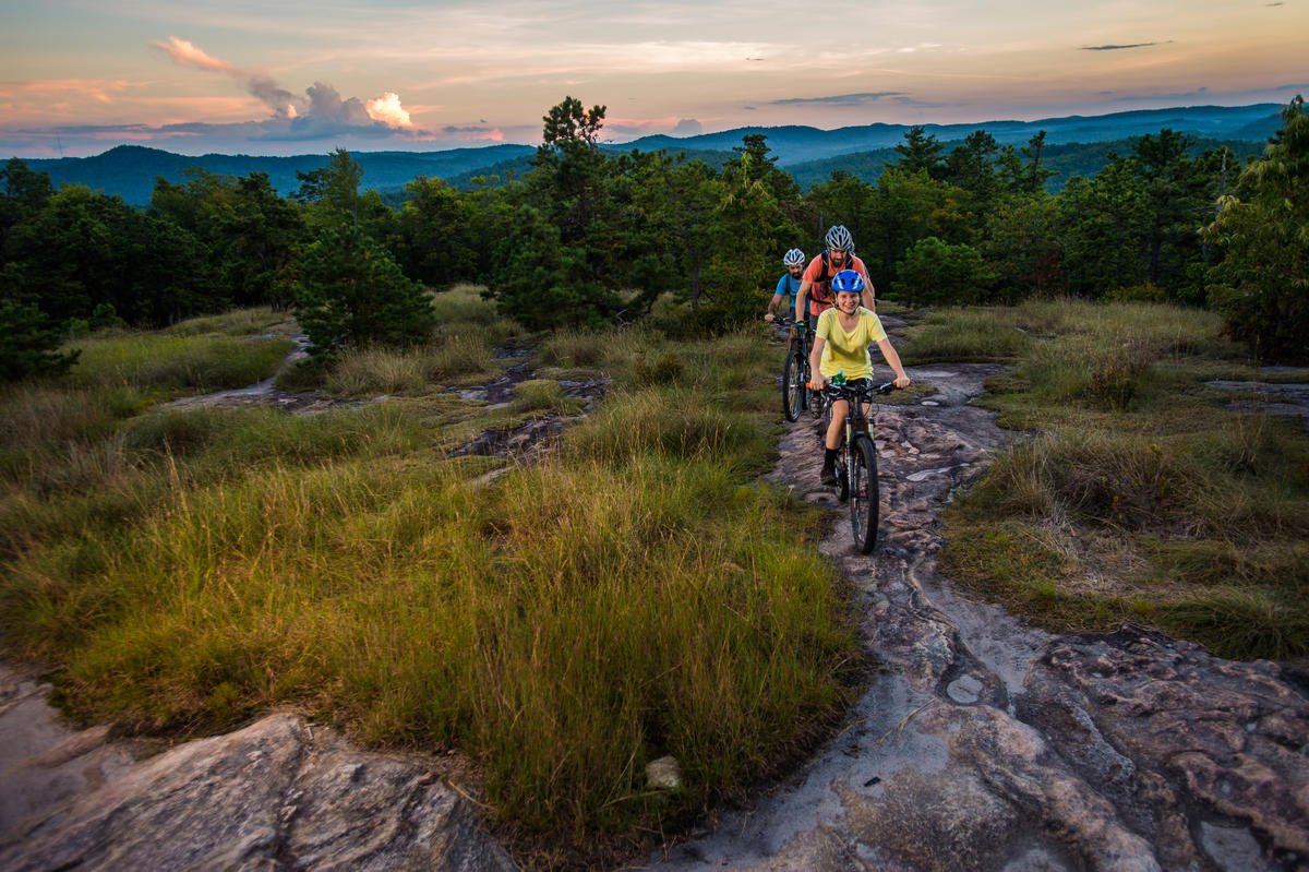 iexplore's tweet photo. Experienced cyclists know #BrevardNC by name, but you donโt have to be a pro โ or even own your own bicycle โ to fully experience all this stunning western North Carolina town has to offer. https://t.co/sMEXgIJgnK #ExploreBrevard https://t.co/pVL4h989oU