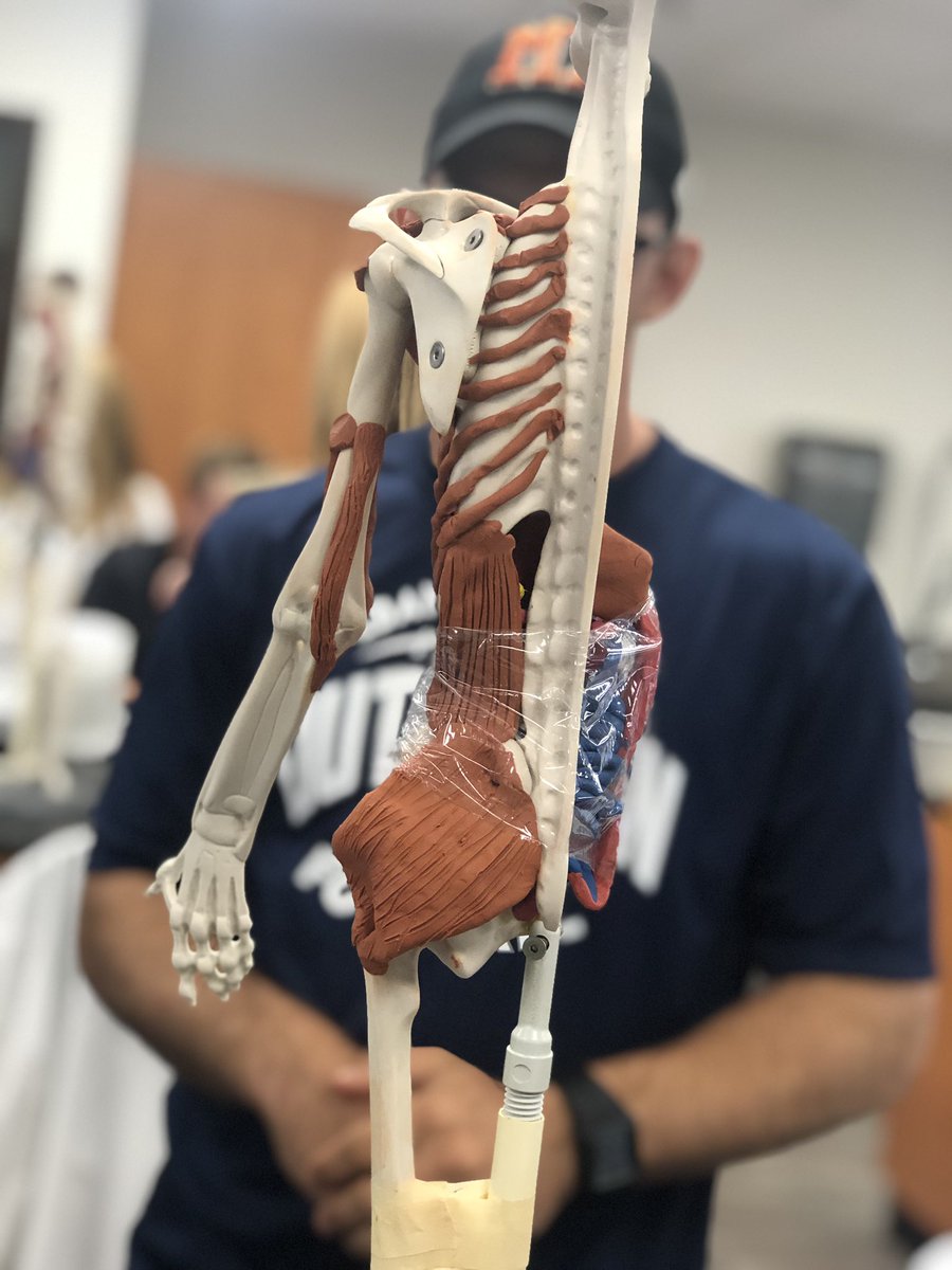 MrsTLLarkin's tweet image. .#larkinHBSkids #jchslife yup it’s a muscular kinda day ~ #learnthroughprocess have you thought up a name for your maniken yet? #buildingmuscles #betterthankearningthroughatextbook can’t wait