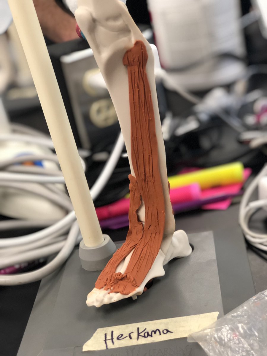 MrsTLLarkin's tweet image. .#larkinHBSkids #jchslife yup it’s a muscular kinda day ~ #learnthroughprocess have you thought up a name for your maniken yet? #buildingmuscles #betterthankearningthroughatextbook can’t wait