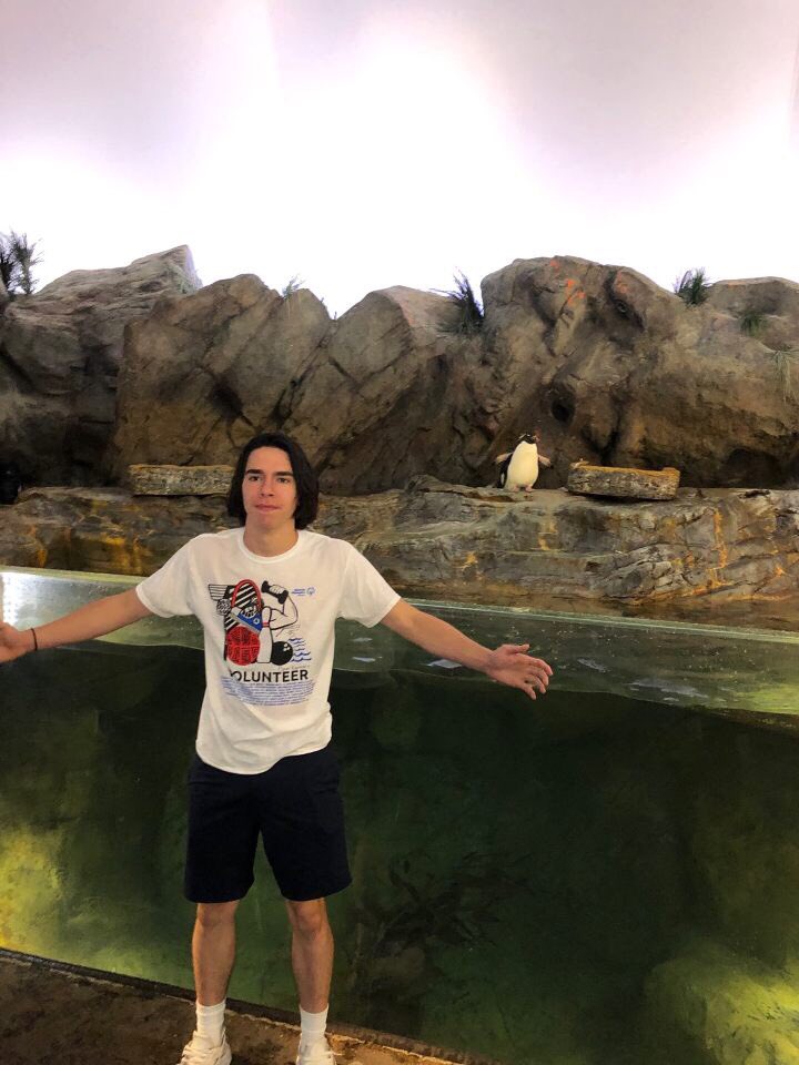DSJActivities's tweet photo. Team “Alligator Frog” competed the Scavenger Hunt first, sharing some creative photos of the Arch, College Church, Muny, and Penguins along the way.  Nicely done! https://t.co/DIhs3pisAn