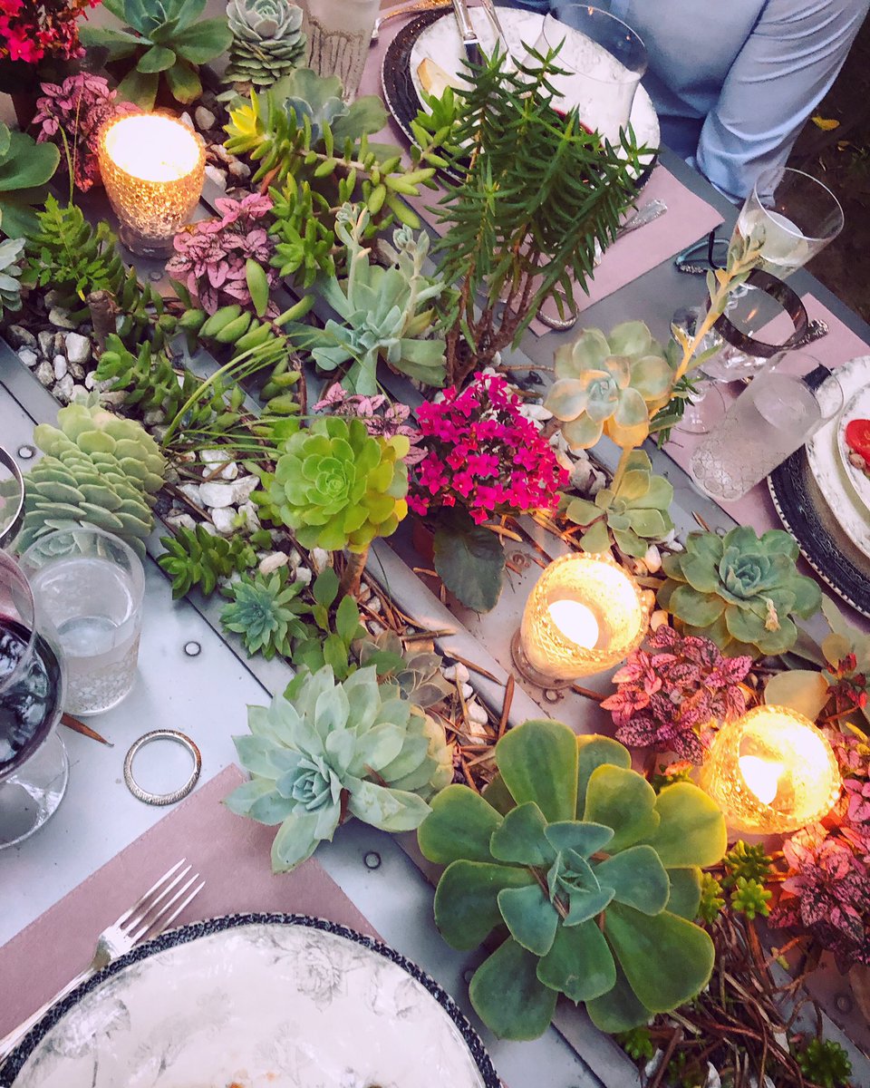 LisaVanderpump's tweet photo. So nice to be back at home.. dinner with family and friends in the olive grove 💕 https://t.co/uBtcTFx0gp