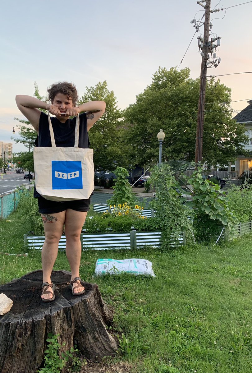 DCzinefest's tweet photo. For the first time ever, weโll have official #DCZF tote bags for sale at the fest this Saturday ๐ฅ theyโre sturdy, cute, and appropriate for standing beside trendy brick walls, urban gardens, etc. $8-12 sliding scale. You should totes grab one ๐ https://t.co/l5feZb1Mic