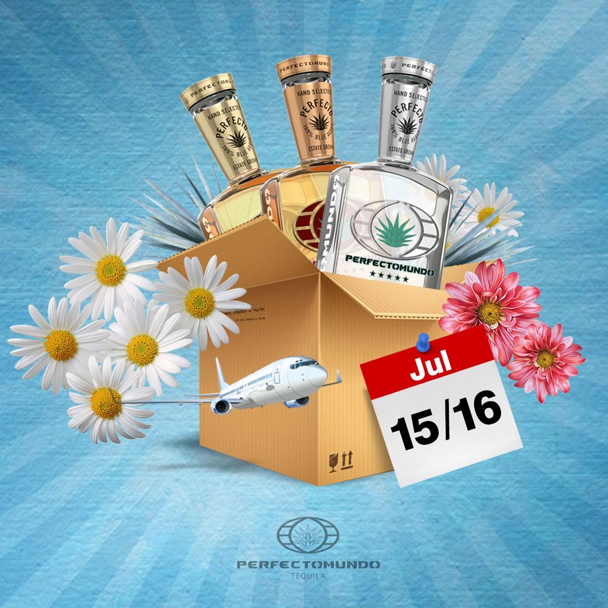 360EMA's tweet photo. Happy Prime Day! $20 off on https://t.co/zvh6NTlIqz with the code PRIME20
Only 10 cases, while supplies last! Only one day!
#perfectomundo #perfectomundotequila #besttequila #primeday2019 #primedaydeals #amazonprimeday #tequila #sale #flashsale https://t.co/Ka3C2KEzCC