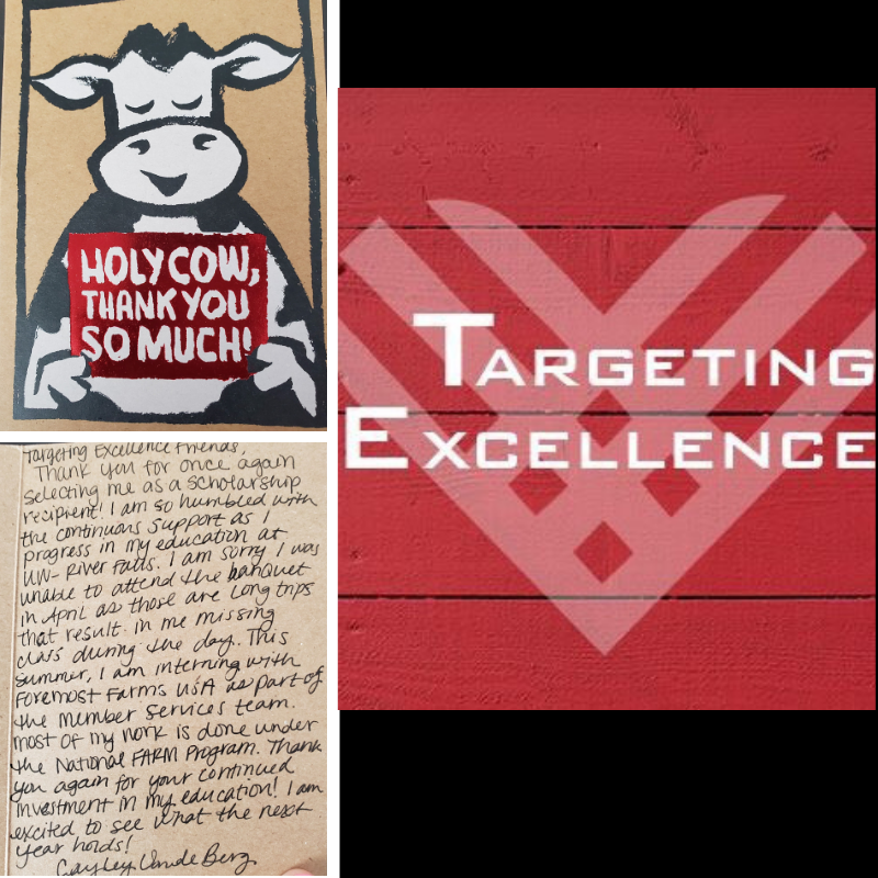 TargetingExcel's tweet image. Congratulations Cayley Vande Berg on your 2019 Targeting Excellence scholarship! We are so proud to help you with your future in agriculture. #targetingexcellence #americaneedsfarmers #Dairy