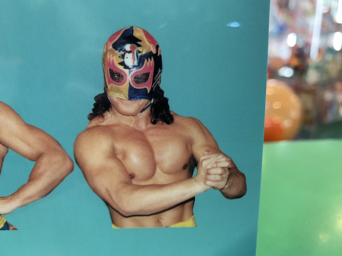 みちのくプロレス☆スペルデルフィン☆マスク www.pegasusforkids.com
