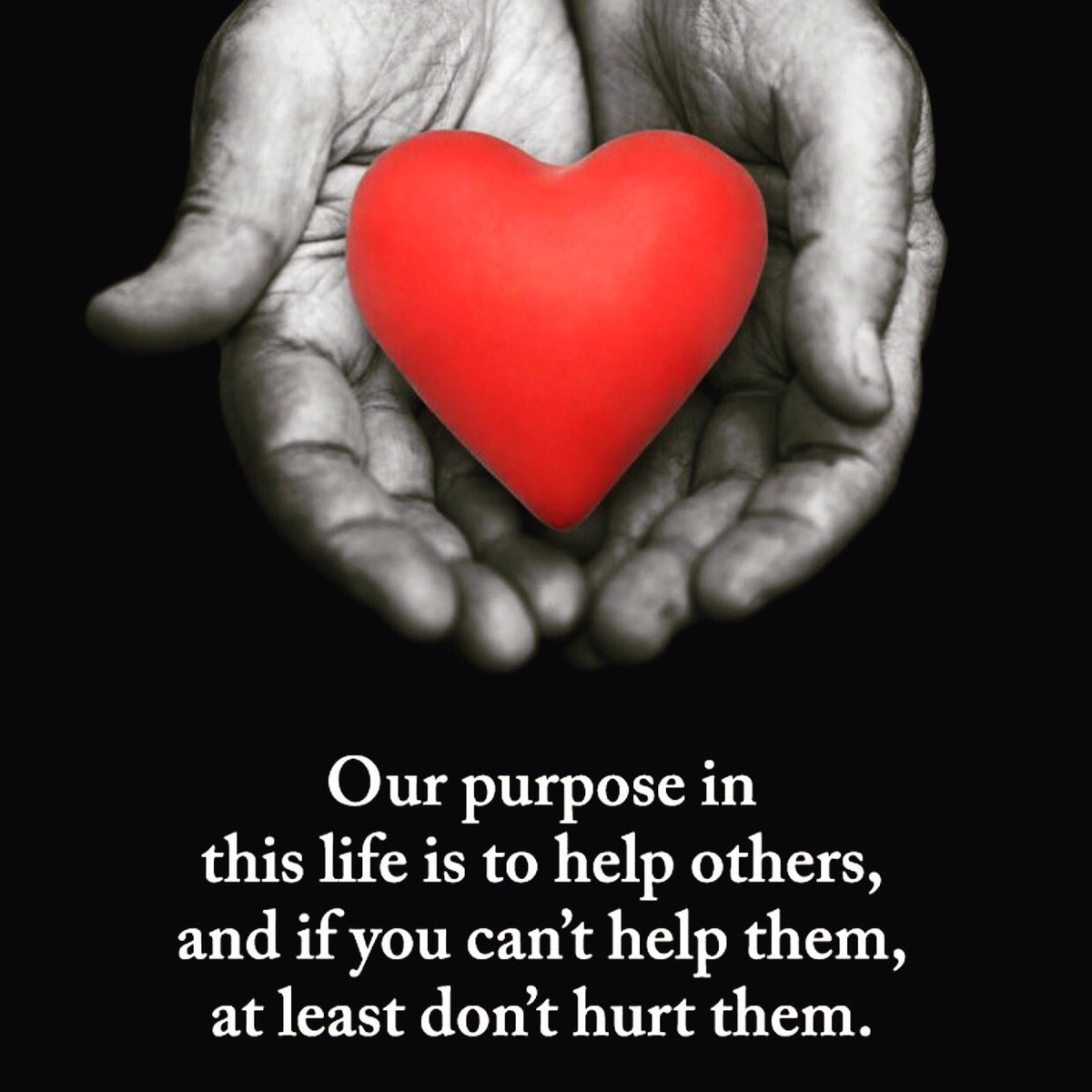 The thing I love about Transformational Coaching is you watch other people’s impossible become a reality and that knock on effect and “ripple” then becomes infectious. 
How are you going to transform someone’s life today?  #LoveIsIand  take a lead out of our book...