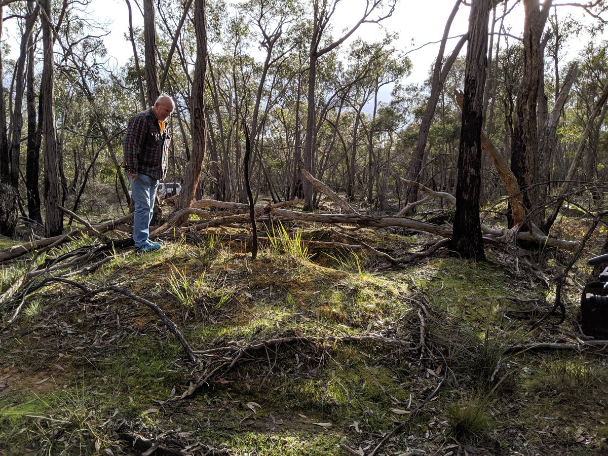 Ararat resident Peter Jovic is outraged, saying there's a lack of maintenance at Ararat Hills Regional Park. He says open mine shafts are also posing a safety risk. 6pm <a href="/WINNews_Bal/">WIN News Ballarat</a>