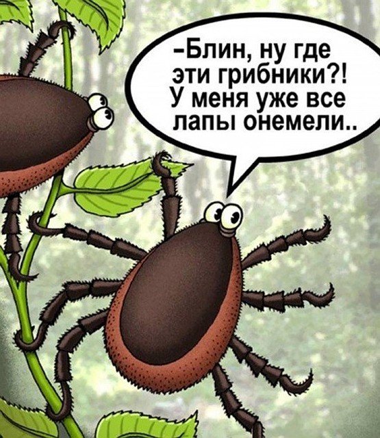 Клещ смешная картинка