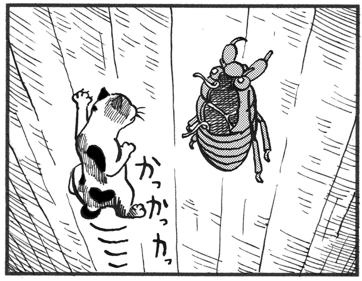 アクションコミックス