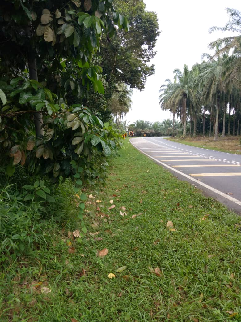 teto_eng_sb's tweet photo. Kerja-kerja mencantas pokok/dahan melampai di laluan J53 Jalan Tai Hong, Kota Tinggi @JKRKotaTinggi
Pengguna jalan raya disarankan berhati-hati ketika memandu
#tetocare #tetoengineering https://t.co/rYOpLbOhbi
