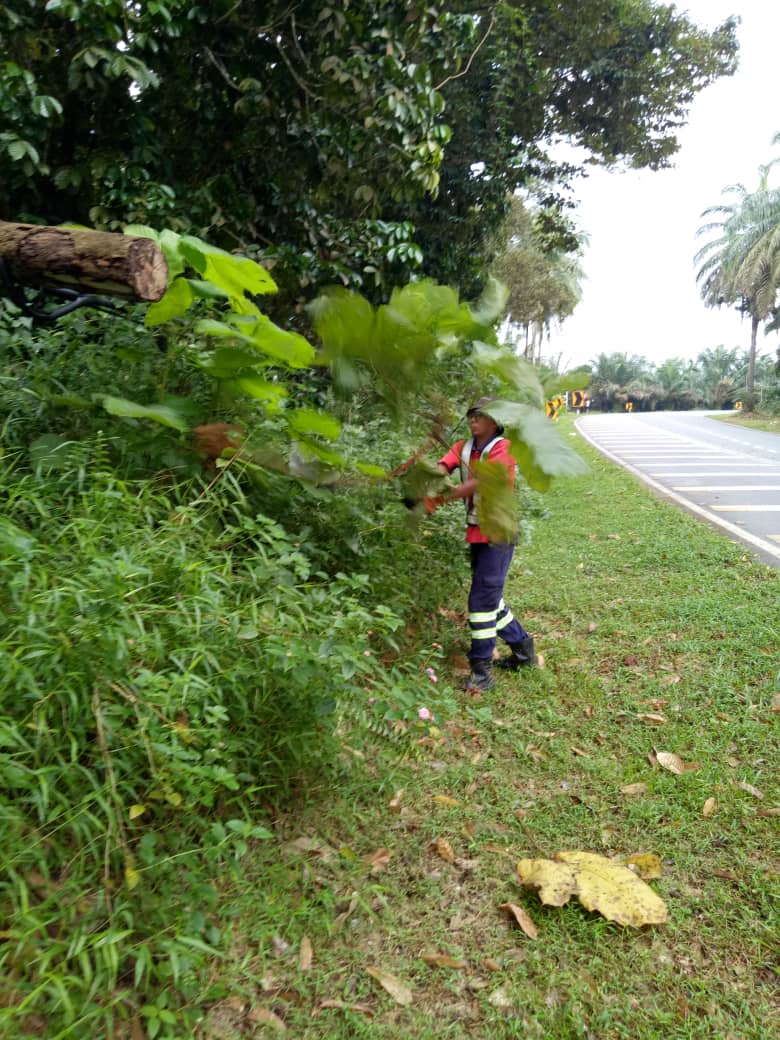 teto_eng_sb's tweet photo. Kerja-kerja mencantas pokok/dahan melampai di laluan J53 Jalan Tai Hong, Kota Tinggi @JKRKotaTinggi
Pengguna jalan raya disarankan berhati-hati ketika memandu
#tetocare #tetoengineering https://t.co/rYOpLbOhbi