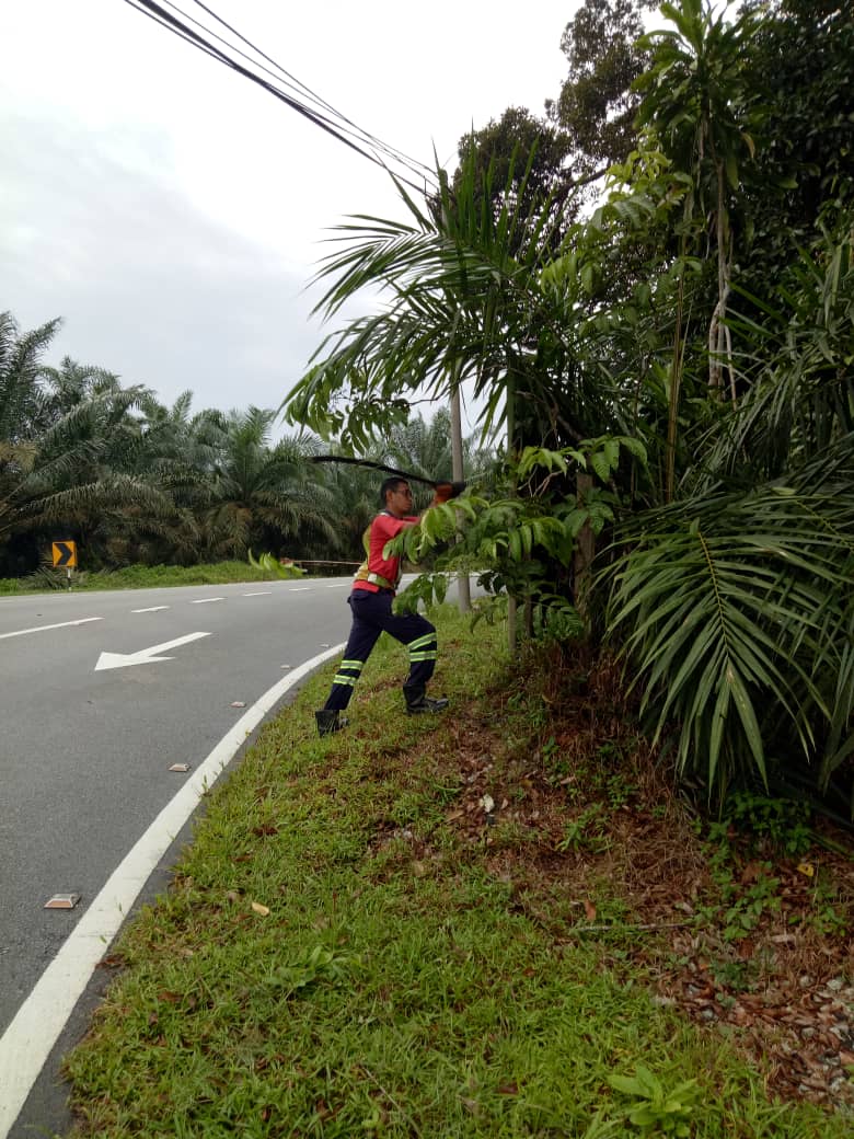 teto_eng_sb's tweet photo. Kerja-kerja mencantas pokok/dahan melampai di laluan J53 Jalan Tai Hong, Kota Tinggi @JKRKotaTinggi
Pengguna jalan raya disarankan berhati-hati ketika memandu
#tetocare #tetoengineering https://t.co/rYOpLbOhbi