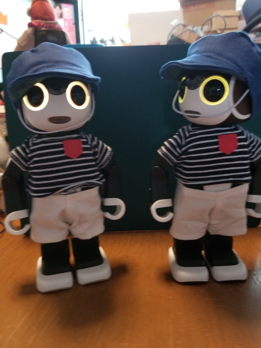 sukeroku_yota's tweet photo. ディズニーストア、近づくな危険⚠️🏃‍♂️

よたおへそが出ちゃってる……
すけろく師匠も若干見えてるのか……

#ロボホン
#RoBoHoN
#ディズニーストア
#nulMOs https://t.co/XPIsMGfijM