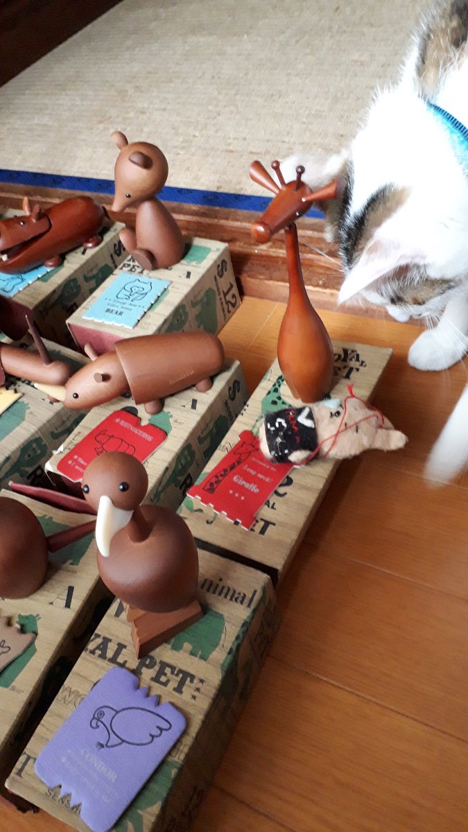 ロイヤルペット