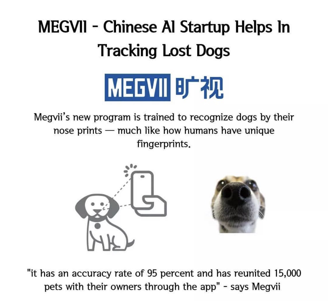 Megvii ให้ข้อมูลว่าระบบระบุตัวตนสุนัขด้วยโครงจมูก มีความแม่นยำถึง 95% และสามารถสืบหาสุนัขคืนสู่เจ้าของแล้วกว่า 15,000 ตัวผ่าน application... cr: udsteep facebook.com/32362142730875…