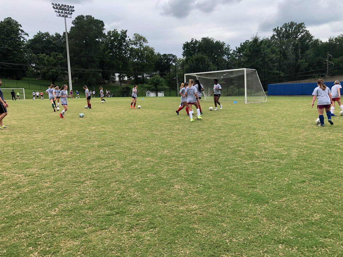 Shannon Carter tweet media