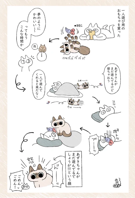 ひとりで遊んでいてもちゃんと見ててほしいあずきさん #ねこ日記 