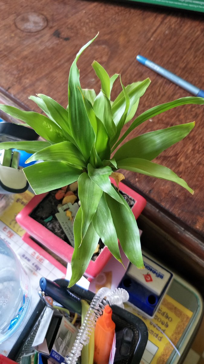 PhathDs's tweet image. មានឃើញអ្វីខ្លះប្រាប់ផង