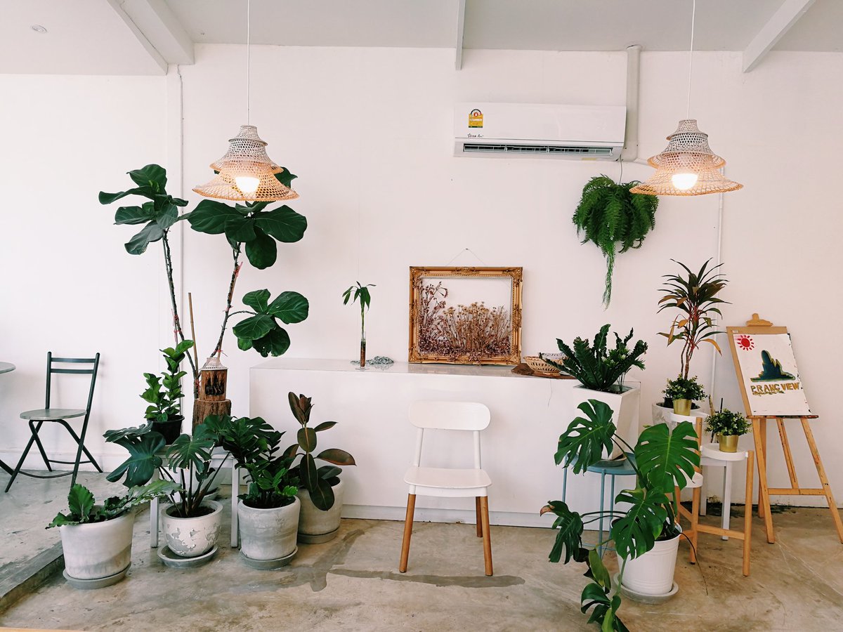 KhamsingNisa's tweet photo. ร้าน PRANG VIEW
พิกัด : อยุธยา
ราคา : เริ่มต้น 100 UP
ร้านตกแต่งด้วยสีขาวดูมินิมอล น่ารักๆราคาไม่แรงมาก อยู่ไม่ไกลจากอุทยานประวัติศาสตร์
ร้านอยู่ตรงหัวมุมถนนพอดี ไม่มีที่จอดรถนะคะ ต้องจอดริมถนนเอา
#คาเฟ่อยุธยา #prangview https://t.co/WeLNtJXCwU