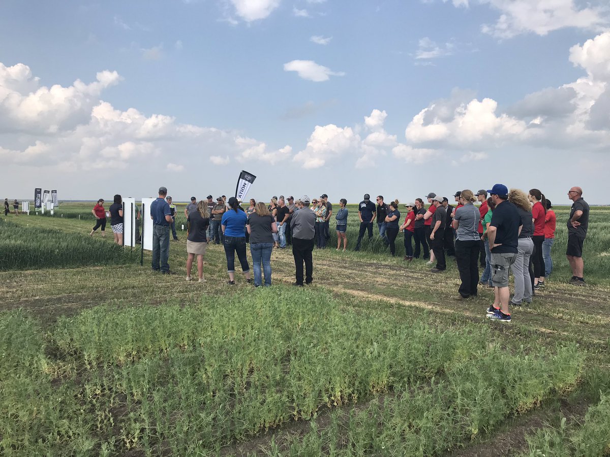 Rochelle Mansiere tweet media