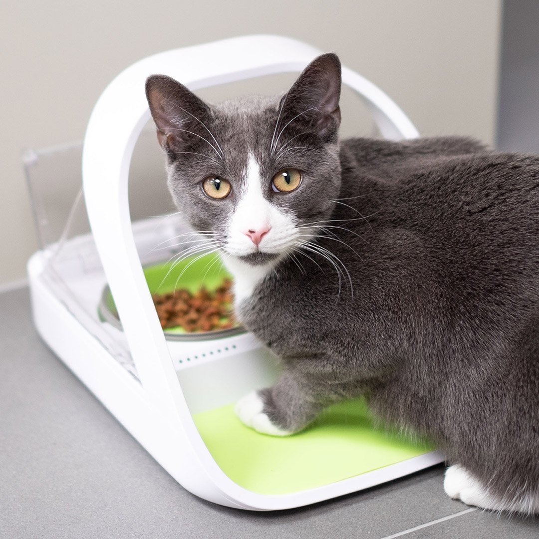 Petfeeder Hashtag On Twitter