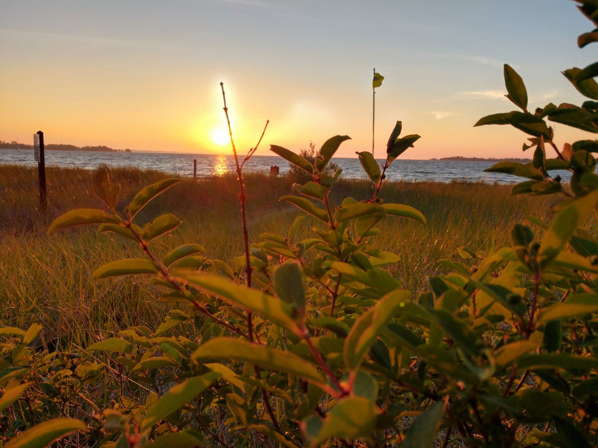 Rissa1013's tweet photo. Went swimming a little while ago #beachday #swimming #photographer #sunset https://t.co/MVh1uFckkW