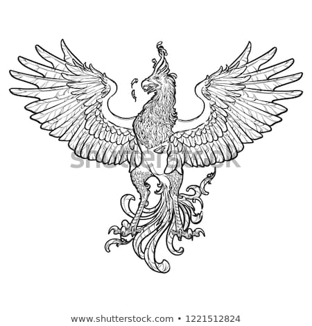 Revising my bird theory. Now I believe that the birds on the roof are phoenixes. I know everybody keeps saying owls or cockatiels, but here's how phoenixes look very often in drawings, both ancient and contemporary.