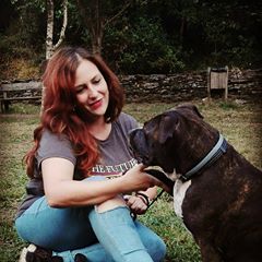 strackerdogs's tweet image. #puppy #pupp #puppies #eyes #animal #pets #petsofinstagram #puppiesofinstagram #fluffy #weeklyfluff #adorable #socute #corgi #gsd #husky #goldenretriever #goldenretrievers #goldenretrieversofinstagram #like4like#likeforfollow
#dog #dogsofinstagram #dogs