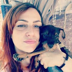 strackerdogs's tweet image. #puppy #pupp #puppies #eyes #animal #pets #petsofinstagram #puppiesofinstagram #fluffy #weeklyfluff #adorable #socute #corgi #gsd #husky #goldenretriever #goldenretrievers #goldenretrieversofinstagram #like4like#likeforfollow
#dog #dogsofinstagram #dogs