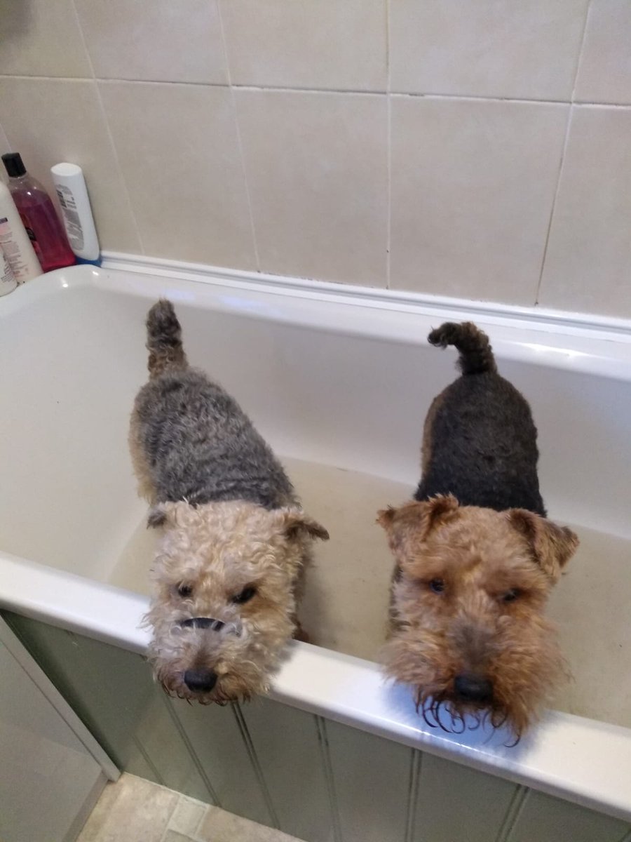 This my friend Mr Dudley (he's on the left) Comes to stay for a bit when his staff take a break and go cruising. Hes back again in November.