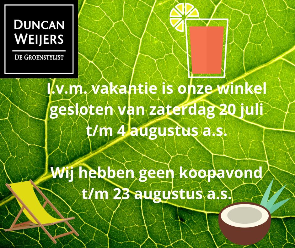De Groenstylist (@groenstylist) on Twitter photo 