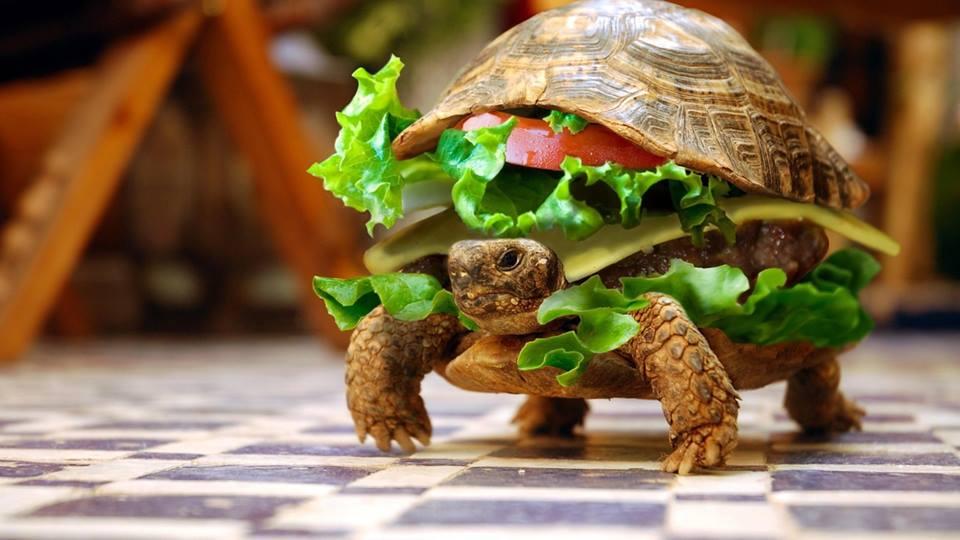 Vet_Summit's tweet photo. https://t.co/z66CK5Z1eg
Eating leafy greens could help prevent macular degeneration #One_Health #Zootechnology #Tropical_Veterinary_Medicine #Veterinary_Microbiology #VeterinaryClinics #VeterinaryBiochemistry #Livestock_Management #VeterinaryGrowth #AnimalFood #ZoologicalMedicine https://t.co/JLc8wx6ouB