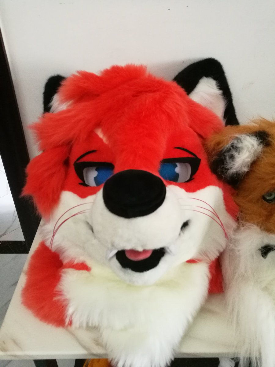 foxAndrel321's tweet photo. I have fursuit now!🎉🎉🎉#fursuit #furry https://t.co/XQTap1syeC