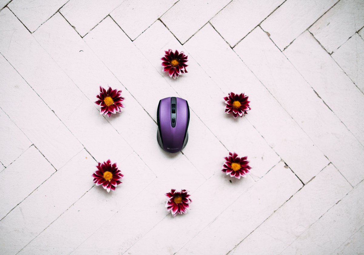 CanyonTech's tweet photo. Let’s bring some colours to our day-to-day routines! These Canyon mice are pure fun 😎
https://t.co/GO2fM2dXQH https://t.co/qSAcJrTae5