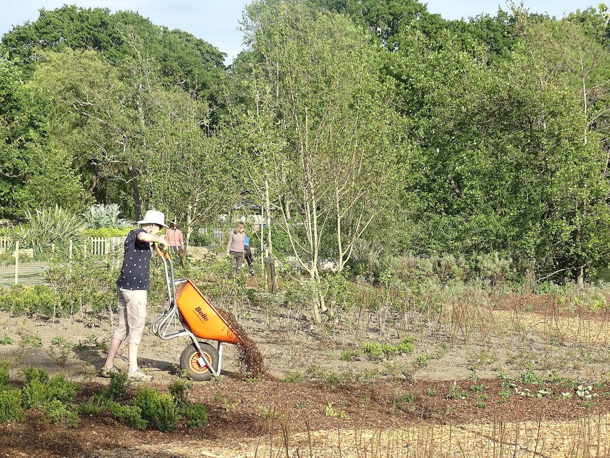 PooleParkLife's tweet photo. Have you had a walk round our newly re-landscaped and improved lakes area? Works from our contractor have now finished, and planting has recently finished for the time being until Autumn. With time, this space is only going to get better and better! #LoveParksWeek @BCPCouncil https://t.co/5iq6tvtQde