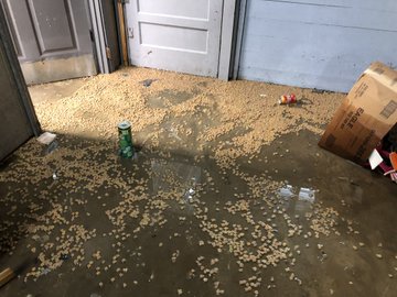 View image on Twitter