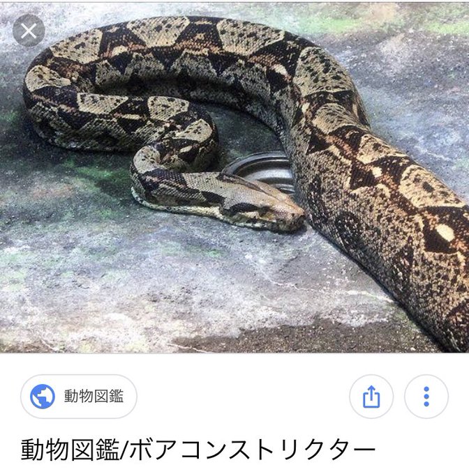 ボアコンのtwitterイラスト検索結果 古い順 ボアコンのtwitterイラスト検索結果 古い順
