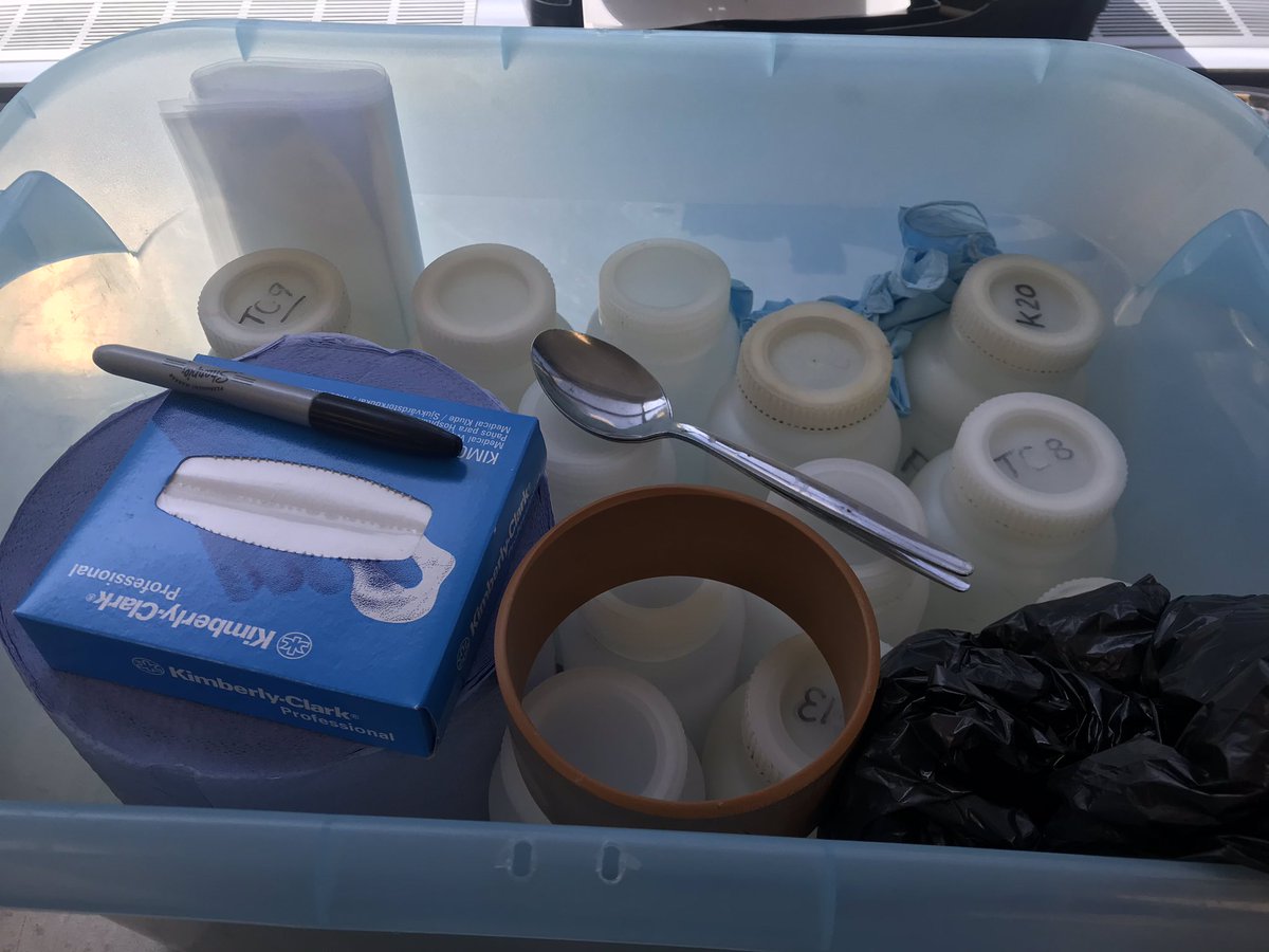 DrJodieFisher's tweet photo. Packing the field kit! #foraminifera week continues tomorrow with @EarthSciPlymUni and sampling of the Helford estuary! #projectstudents #summer https://t.co/zVqv7teknc
