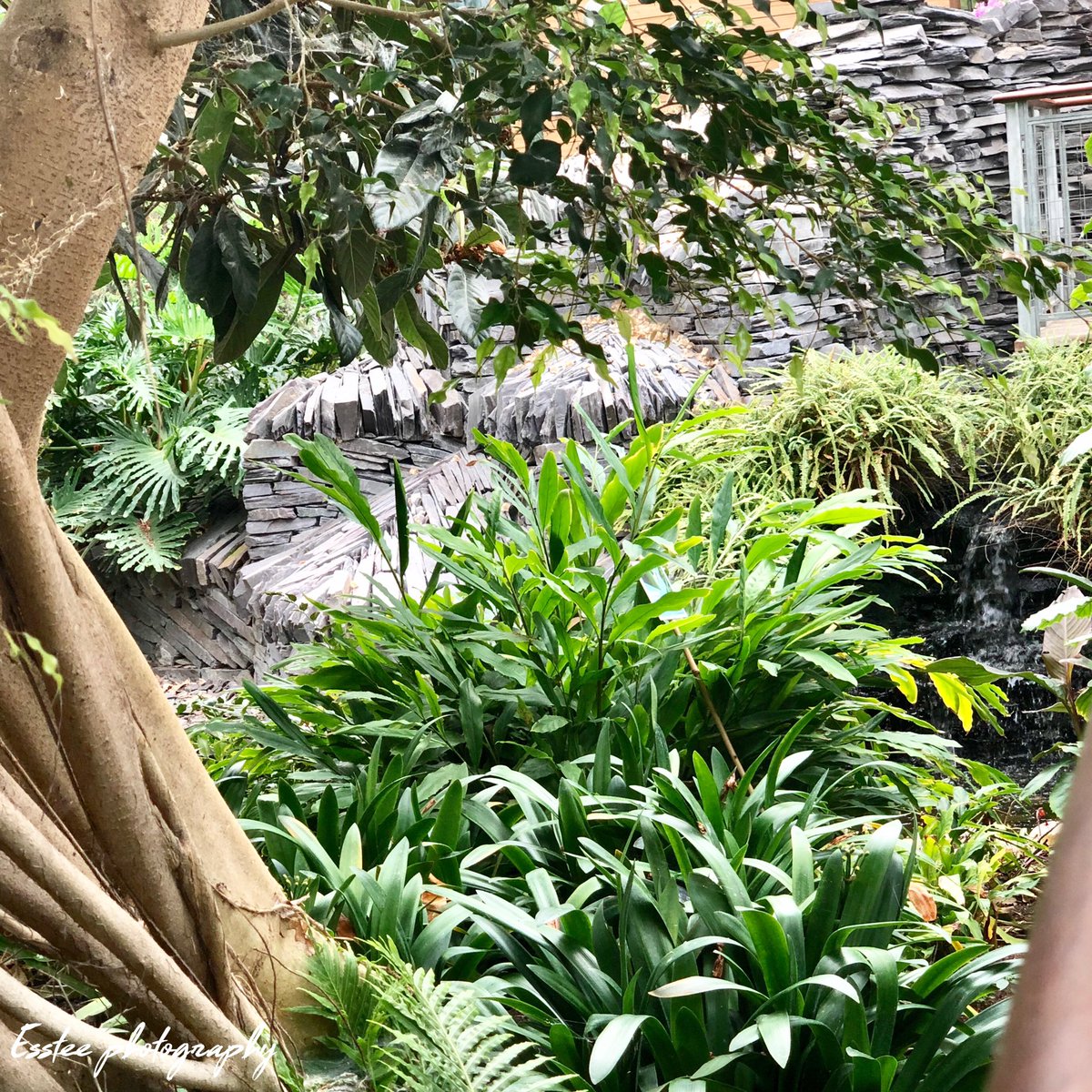 Jephson Gardens, explorations 🍃📍

@LeamingtonGuide <a href="/ThePhotoHour/">#ThePhotoHour</a> #photographer