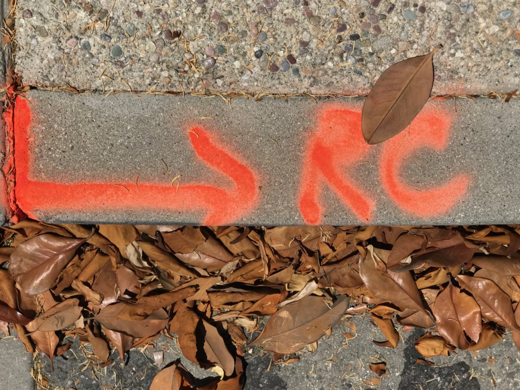 Bruddajack's tweet photo. Rust Colored Leaves #photography #streetphotography #graffiti #sidewalk #rustcolor #leaves #visualart https://t.co/hTSyuWdfjG https://t.co/3PdJeHBqyk