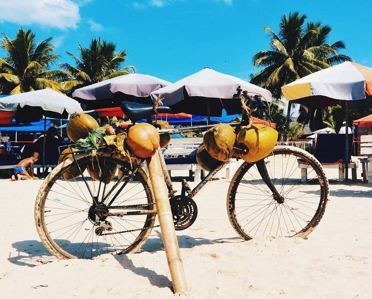#ALaPlageIlYaToujours des noix de coco avec un super goût. #MyMadagascar
📸 travelmadagascar