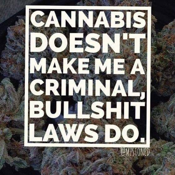 #freetheweed #growyourown #selfmedicate #cannabis #cannabis