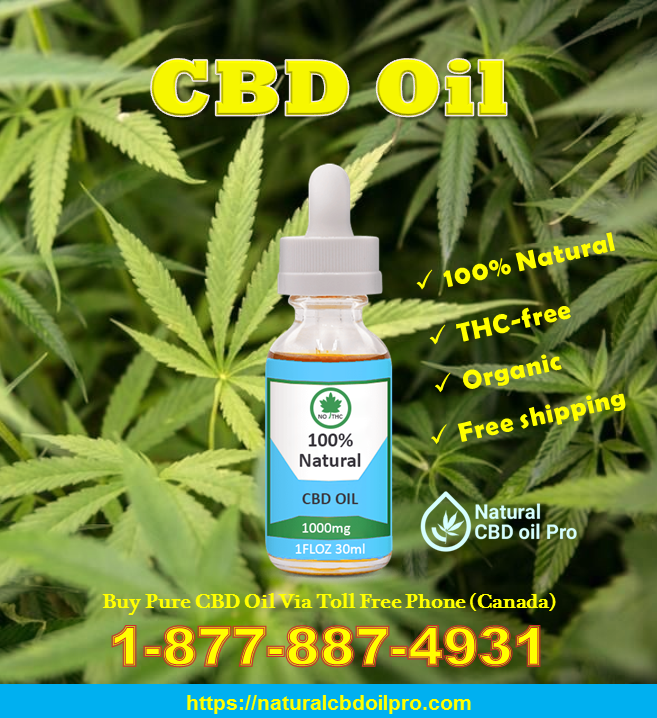 naturalcbdoilpr's tweet photo. 100% natural and pure organic CBD oil is available online for sale at Natural CBD Oil Pro Canada website. From here you can get free shipping of this THC-free CBD oil anywhere in Canada. 
#cbdoil #CBD #CBDlife #CBDstore #cbdcanada #cbdoilforsale #buycbdoil #naturalcbdoilpro https://t.co/h6zGw5GyPh
