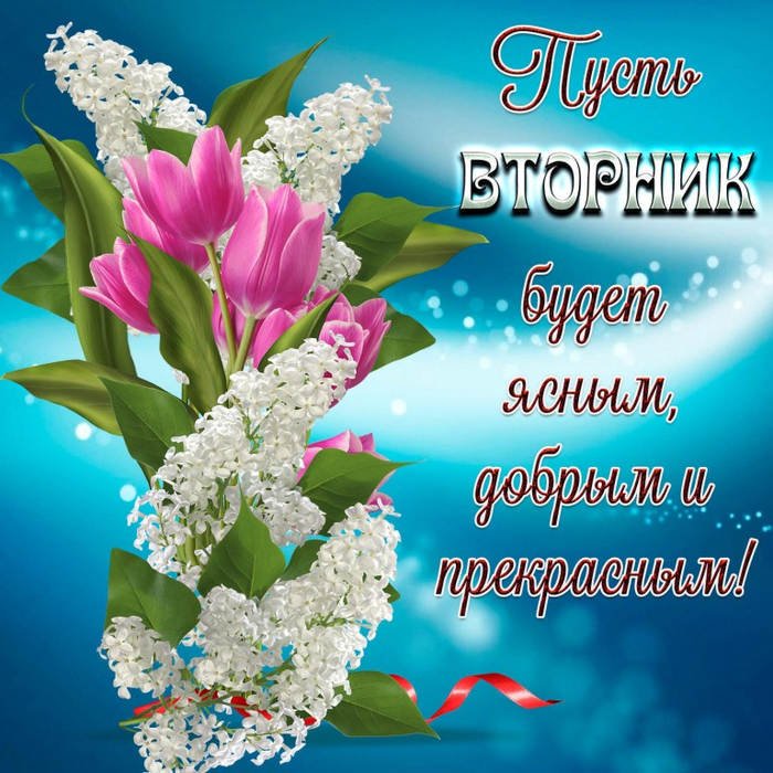 Красивые картинки со вторником, цветами для фотографий