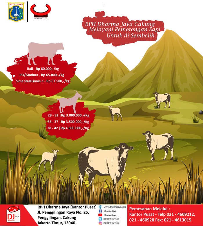 dharmajaya66's tweet photo. Menuju hari raya qurban atau Idul Adha 2019 yang jatuh pada bulan Agustus, PD Dharma Jaya yang merupakan BUMD Pangan DKI Jakarta kembali hadir untuk memenuhi kebutuhan sapi dan kambing qurban 2019 di wilayah DKI Jakarta.

#DKIJakarta 
#BUMDPangan
#Qurban2019
#IdulAdha2019 https://t.co/XO3EmBn6da