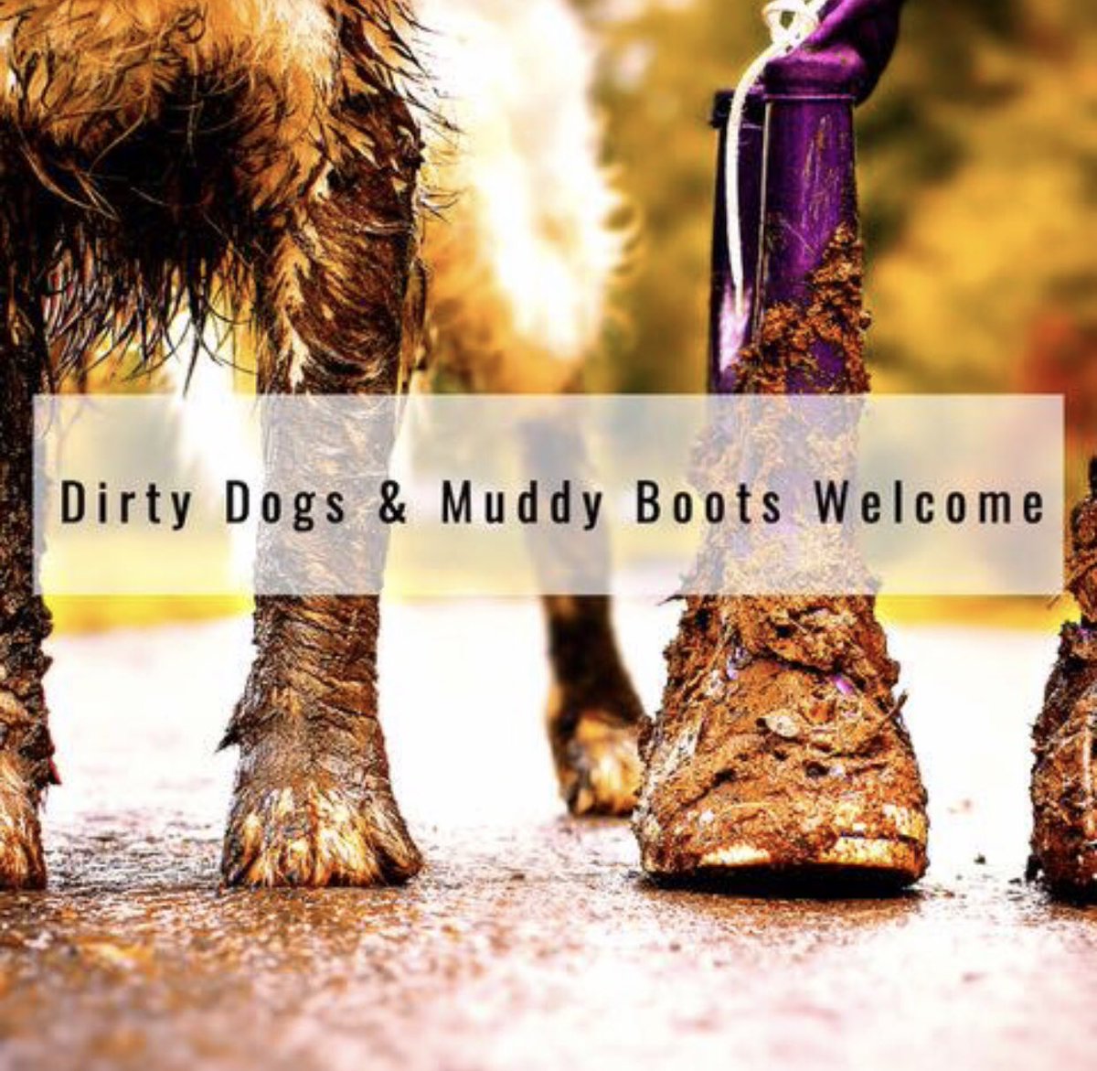 It’s the perfect day to explore the great outdoors! We’re in the middle of the <a href="/Howardian_Hills/">Howardian Hills National Landscape</a>, just off the Centenary Way &amp; 300 yards up from Kirkham Priory! food served from 12-9pm all day long. #dogfriendly #yorkshire #YorkshiresFoodCapital