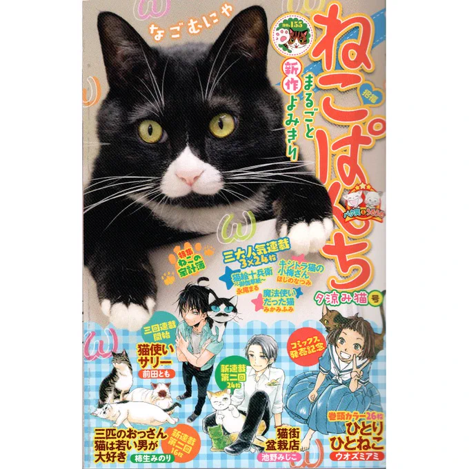 7月16日発売の「ねこぱんち」に「玉こんの部屋」掲載中です。
「みけねこ鍼灸院②」に登場するナイト君です。
これ描いた時期全国的に暑い時期だったんですよねえ。発売時期もきっと暑いだろうと想定して描いたはずが。。 