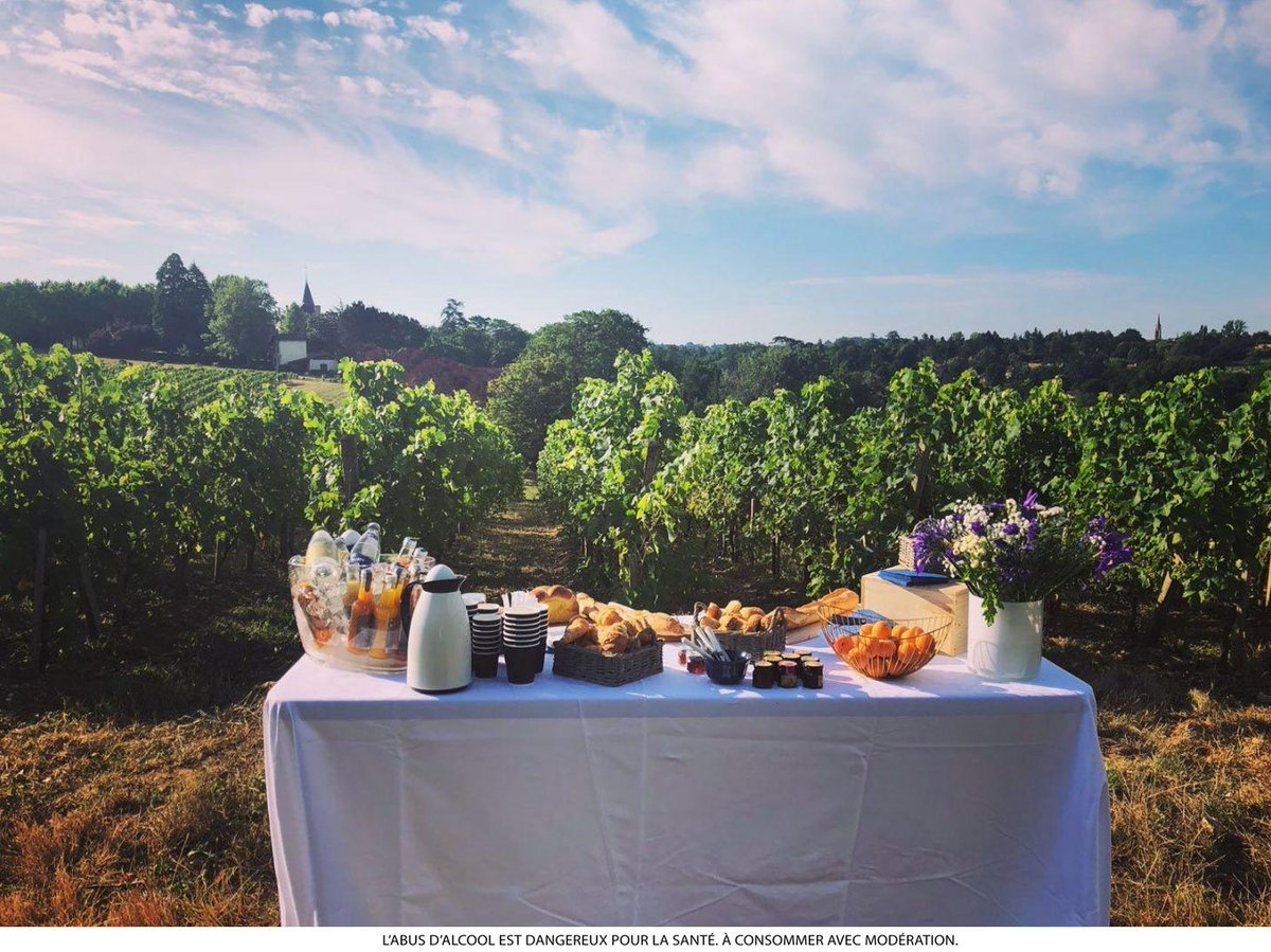 La journée commence bien ! Petit déjeuner au cœur des vignes au Château Latour Camblanes.